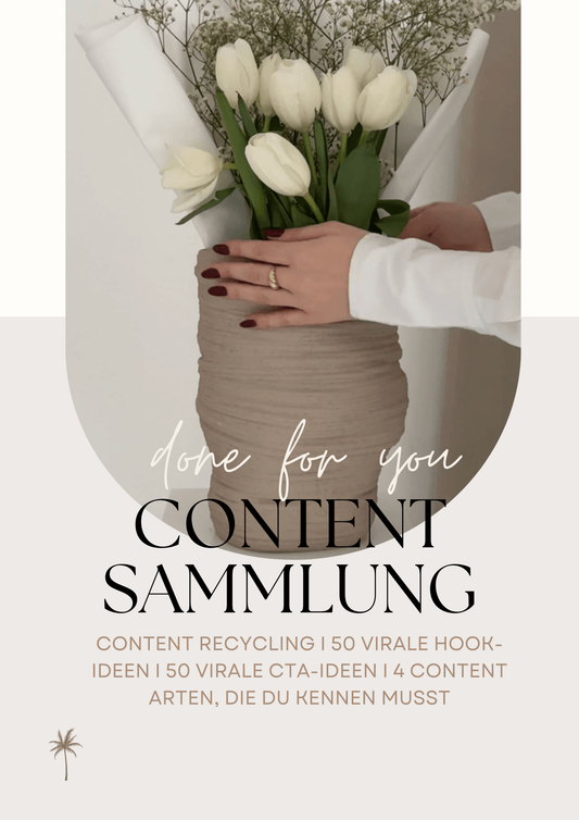 E-Book: DFY Content Sammlung: Effektive Vorlagen und Ideen für viralen Erfolg